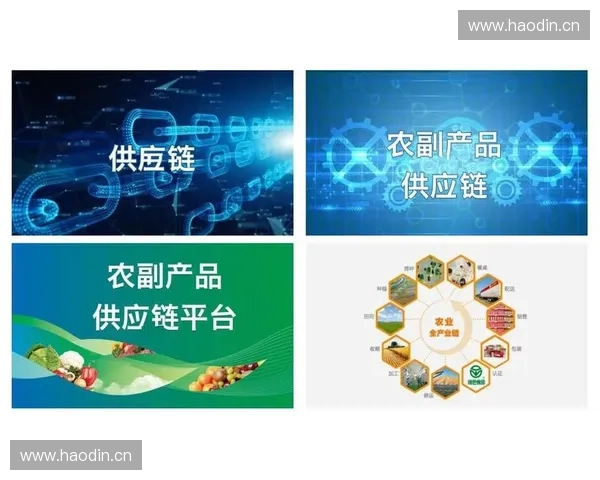 农民频道助力乡村振兴打造农业新业态推动农产品品牌化发展