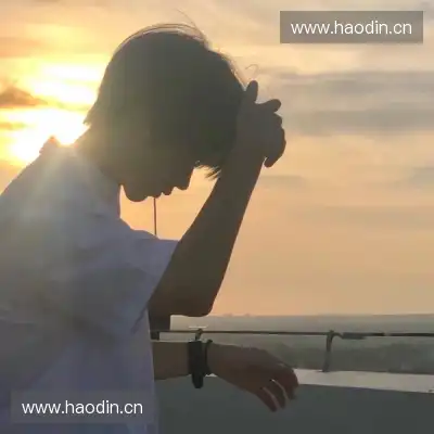 农杉菁